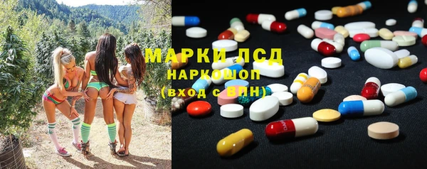 ГАЛЛЮЦИНОГЕННЫЕ ГРИБЫ Надым