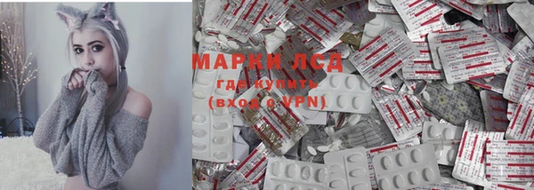 индика Орск