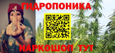 молекула духа Кандалакша