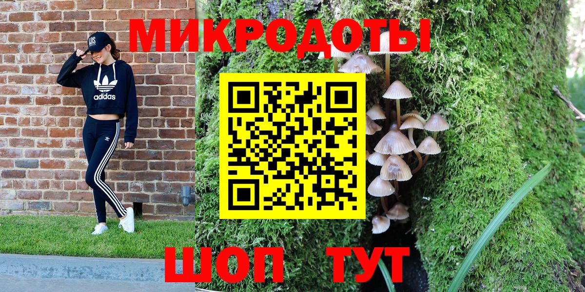 Стерлитамак  Галлюциногенные грибы MAGIC MUSHROOMS  Вход с VPN 