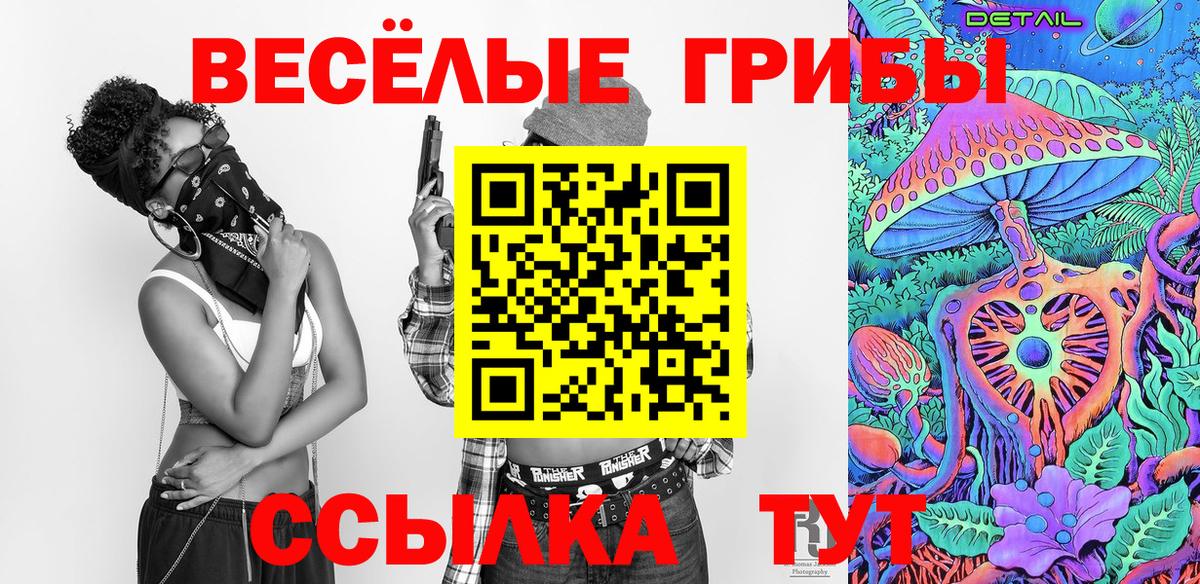 Псилоцибиновые грибы мицелий Стерлитамак