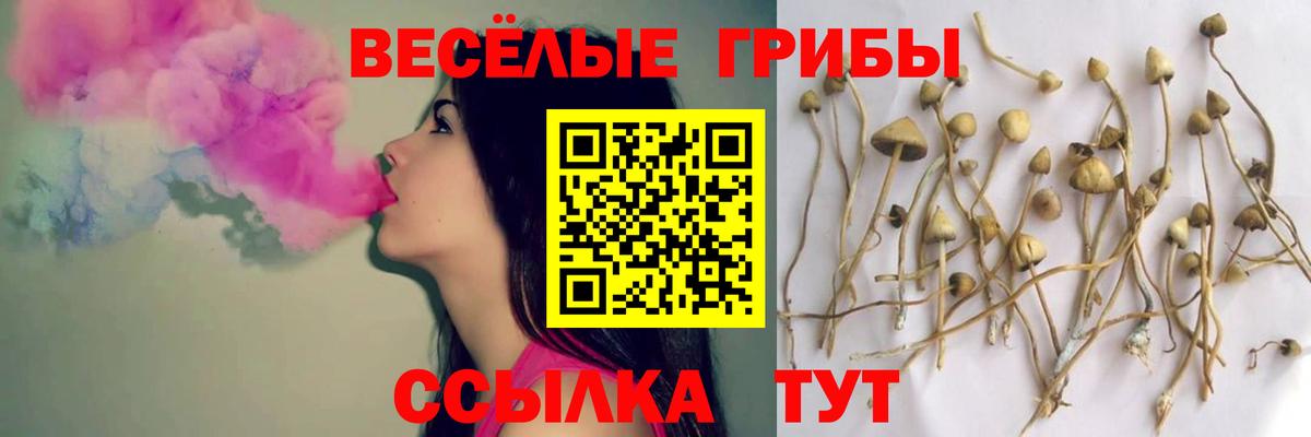 Галлюциногенные грибы Magic Shrooms  Стерлитамак  Галлюциногенные грибы Magic Shrooms 