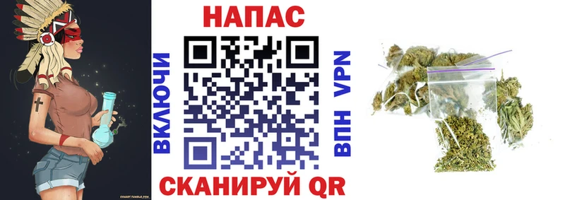 сколько стоит  Стерлитамак  Канабис семена 